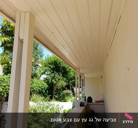 מרפסת עם תקרה מעץ, כלי עבודה וציוד גינון